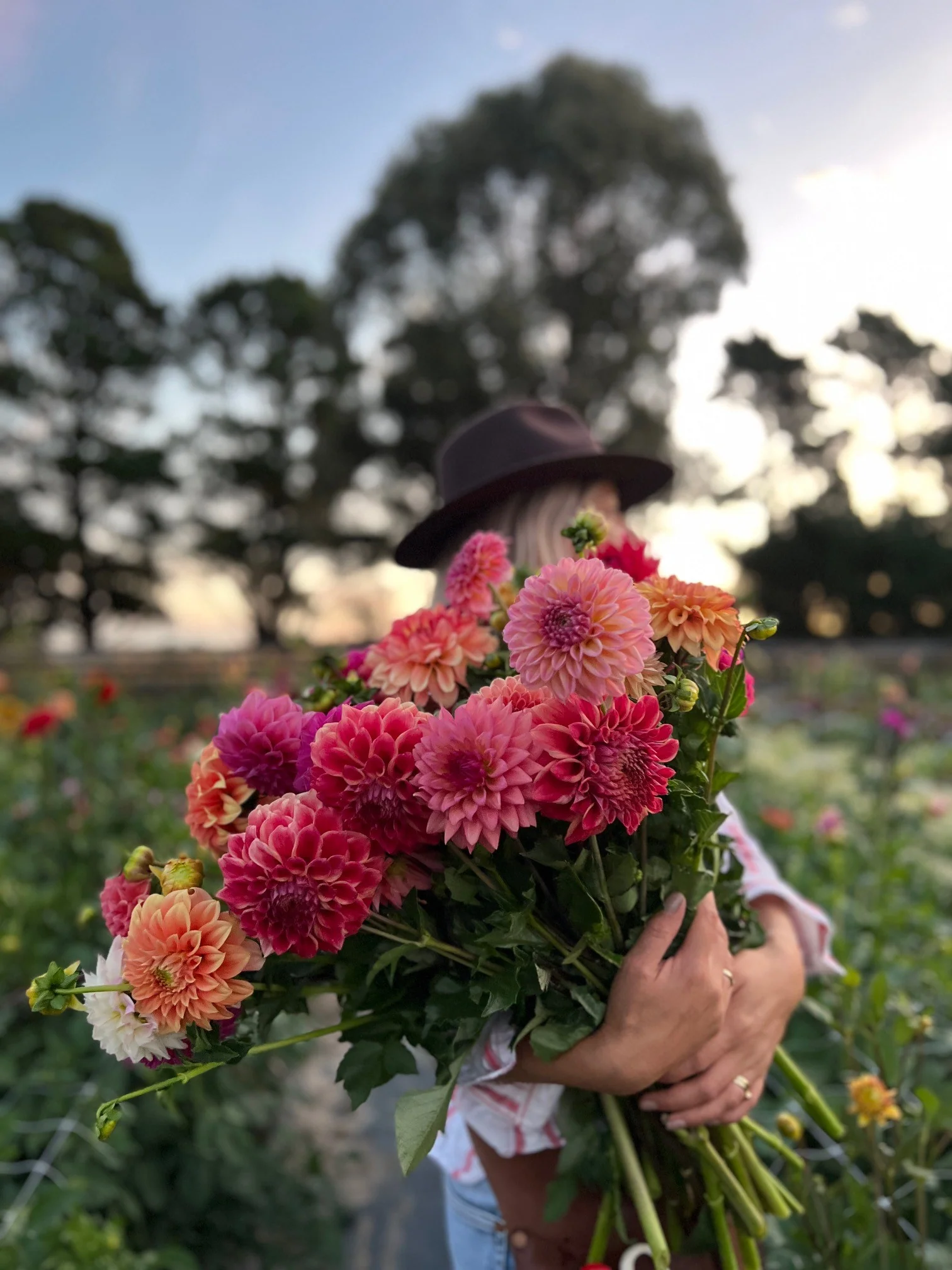 Bloom Into Better Living